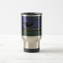 Common Moorhen at Squaw Creek National Wildlife Re Mug