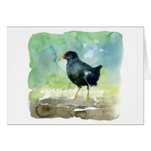 common moorhen greeting card