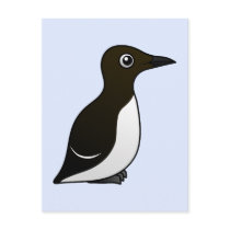 Common Murre (standing)