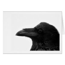 Common Raven Notecard