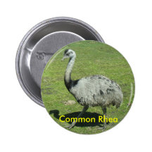 Common Rhea button
