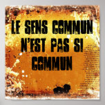Common Sense is not so Common posters