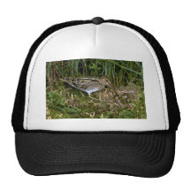 Common Snipe with eggs Hats