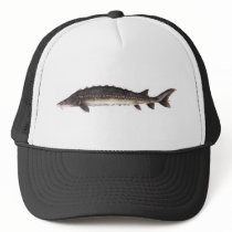 Common Sturgeon Hat