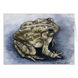 Common Toad cards