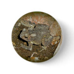 Common Toad Coordinating Items buttons