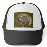 Common Toad Coordinating Items hats