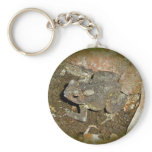 Common Toad Coordinating Items keychains