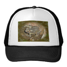 Common Toad Coordinating Items Mesh Hats