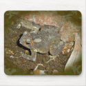 Common Toad Coordinating Items mousepads