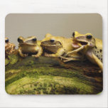 Common Tree Frog Polypedates Leucomystax mousepads