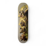 Common Tree Frog Polypedates Leucomystax skateboards