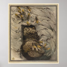 COMMON WASPS - Insect Book Illustration Poster