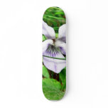 Common White Blue Dog Violet skateboards