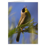 Common Yellowthroat Greeting Card