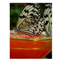 Communion Postcards