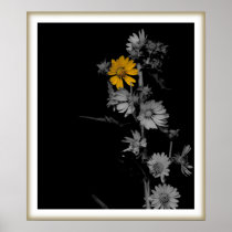 Compass Flower Print
