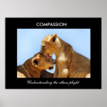 Compassion posters