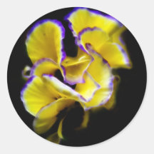 Complex yellow pansy round stickers