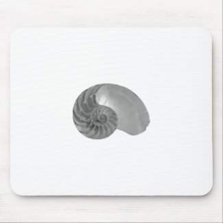 Complexity Simplicity Nautilus Shell Mouse Pad