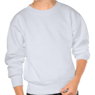 Complexity Simplicity Nautilus Shell Pullover Sweatshirt