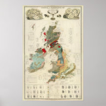 Composite Geological, palaeontological map Poster