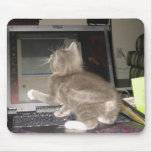 Computer Kitty Mousepad