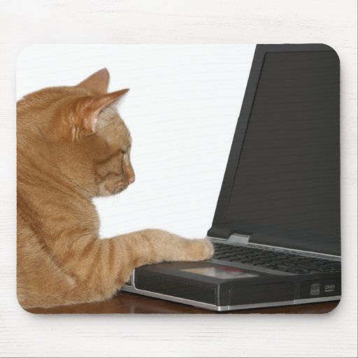 computing cat mouse mat