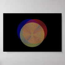 Concentricity Posters