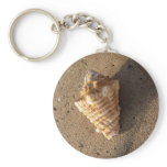 Conch Shell Keychain (Colour)