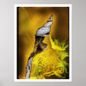 Conch with Sunflower posters