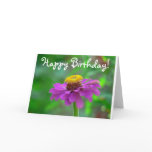 Cone Flower, Happy Birthday! cards