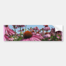Cone Flowers Bumper Sticker