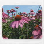 Cone Flowers Mouse Pad mousepads