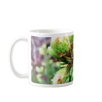 Cone Sprouts Mugs