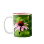 Coneflower and Bee Mug