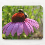 Coneflower and two Bees  Mousepad
