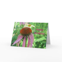 Coneflower Birthday Card