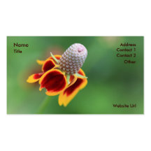 Coneflower Business Card