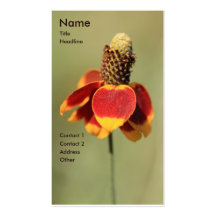 Coneflower Business Card