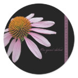 Coneflower Debut Congratulations Items stickers