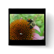 Coneflower & Eastern Carpenter Bee Items Button