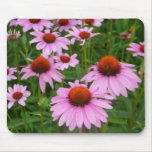Coneflower fields mousepads