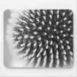 Coneflower in Black & White Mouse Pad