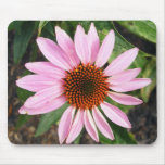 Coneflower mousepads