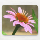 Coneflower mousepads