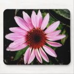 Coneflower mousepads