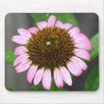 Coneflower mousepads