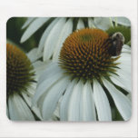 Coneflower Mousepad