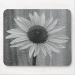 Coneflower mousepads